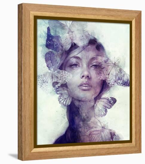 Adorn-Anna Dittman-Framed Stretched Canvas