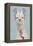 Adorned Llama II-Victoria Borges-Framed Stretched Canvas