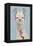 Adorned Llama II-Victoria Borges-Framed Stretched Canvas