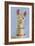 Adorned Llama III-Victoria Borges-Framed Premium Giclee Print