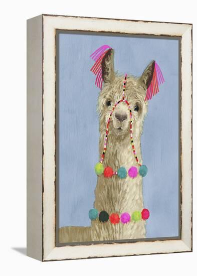 Adorned Llama III-Victoria Borges-Framed Stretched Canvas