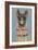 Adorned Llama IV-Victoria Borges-Framed Art Print