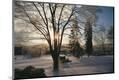 Premium Photographic Print