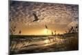 Photographic Print