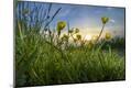 Premium Photographic Print