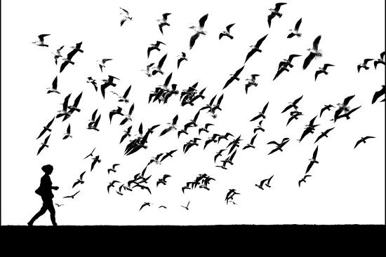 Photographic Print, , large