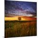 Premium Photographic Print