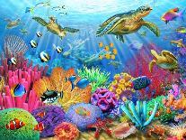 Turtle Coral Reef-Adrian Chesterman-Art Print