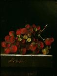 Bunch of Grapes, 1705-Adrian Coorte-Giclee Print