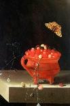 Wild Strawberries in a Chinese Wanli Kraak Porcelain Bowl, 1704-Adrian Coorte-Giclee Print