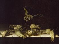 A Still Life of Shells, 1698-Adrian Coorte-Framed Giclee Print
