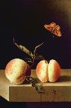 Still Life with Peaches-Adrian Coorte-Giclee Print