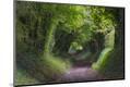 Photographic Print