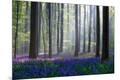 Premium Photographic Print