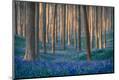 Premium Photographic Print