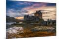 Photographic Print
