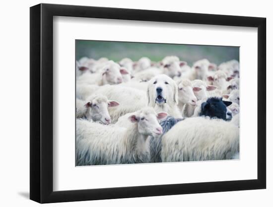 Photographic Print, , large