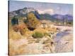 Stretched Canvas Print