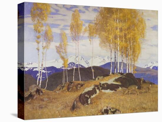 Stretched Canvas Print, , large