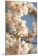 Premium Photographic Print