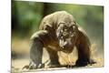 Premium Photographic Print