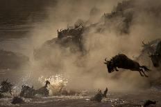 The Great Wildebeest Migration-Adrian Wray-Premier Image Canvas