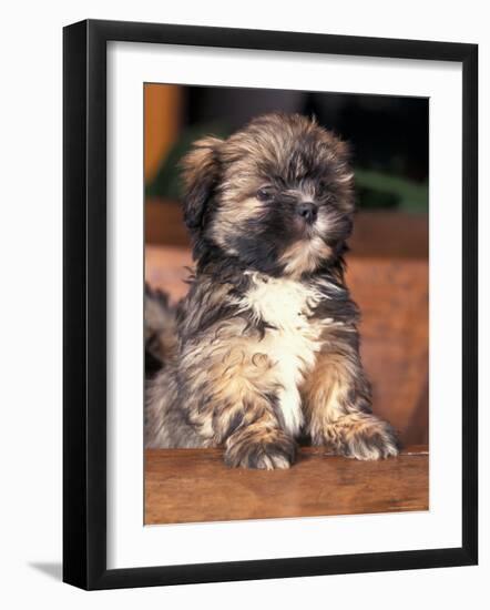 Photographic Print, , large