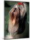 Premium Photographic Print