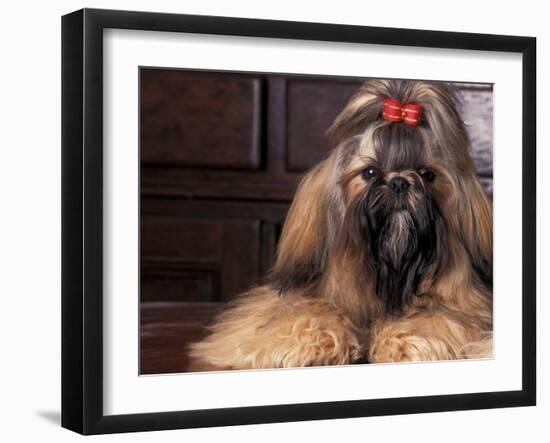 Photographic Print, , large
