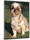 Premium Photographic Print