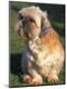 Premium Photographic Print
