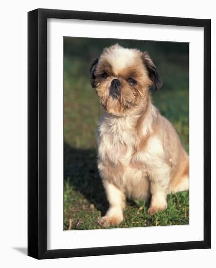 Photographic Print, , large