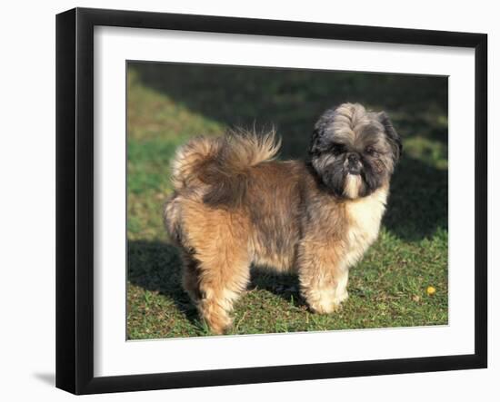 Photographic Print, , large