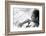 Adriano Celentano Having a Rest-Marisa Rastellini-Framed Photographic Print