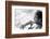 Adriano Celentano Having a Rest-Marisa Rastellini-Framed Photographic Print