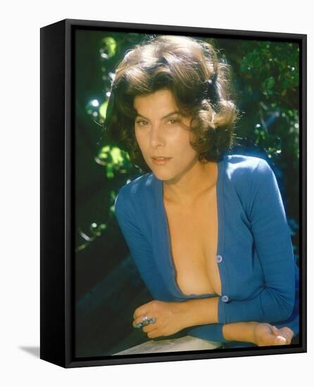 Adrienne Barbeau-null-Framed Stretched Canvas