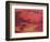 Adrift in Red-Nancy Ortenstone-Framed Art Print