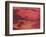 Adrift in Red-Nancy Ortenstone-Framed Art Print