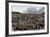 Adult and Juvenile King Penguins (Aptenodytes Patagonicus)-Michael Nolan-Framed Photographic Print