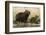 Adult and young capybara (Hydrochaeris hydrochaeris) on Cuiaba River bank, Pantanal, Mato Grosso, B-Sergio Pitamitz-Framed Photographic Print