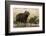 Adult and young capybara (Hydrochaeris hydrochaeris) on Cuiaba River bank, Pantanal, Mato Grosso, B-Sergio Pitamitz-Framed Photographic Print