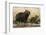 Adult and young capybara (Hydrochaeris hydrochaeris) on Cuiaba River bank, Pantanal, Mato Grosso, B-Sergio Pitamitz-Framed Photographic Print