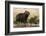 Adult and young capybara (Hydrochaeris hydrochaeris) on Cuiaba River bank, Pantanal, Mato Grosso, B-Sergio Pitamitz-Framed Photographic Print