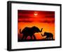 Adult and Young Elephants, Sunset Light-Russell Burden-Framed Photographic Print