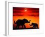 Adult and Young Elephants, Sunset Light-Russell Burden-Framed Photographic Print