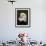 Adult Bald Eagle-Adam Jones-Framed Photographic Print displayed on a wall