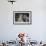 Adult Black-Browed Albatross Feeding Chick in New Island Nature Reserve, Falkland Islands-Michael Nolan-Framed Photographic Print displayed on a wall