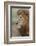 Adult black maned lion, Serengeti National Park, Tanzania, leo-Adam Jones-Framed Photographic Print