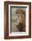 Adult black maned lion, Serengeti National Park, Tanzania, leo-Adam Jones-Framed Photographic Print