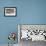 Adult Dolphin Gulls (Leucophaeus Scoresbii) Amongst Chick Creche, Falkland Islands-Michael Nolan-Framed Photographic Print displayed on a wall